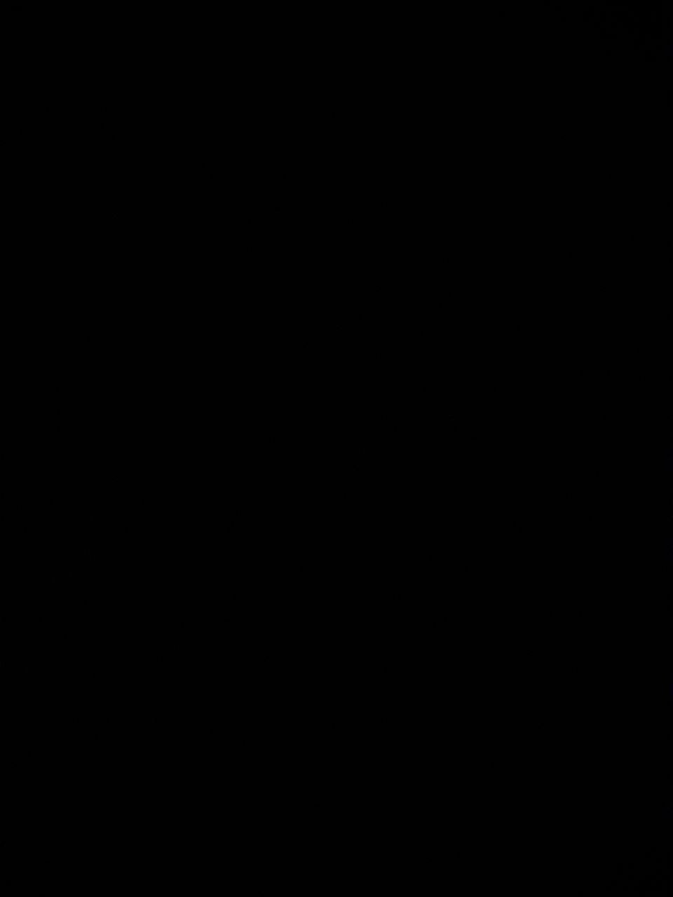 MARIA MAM